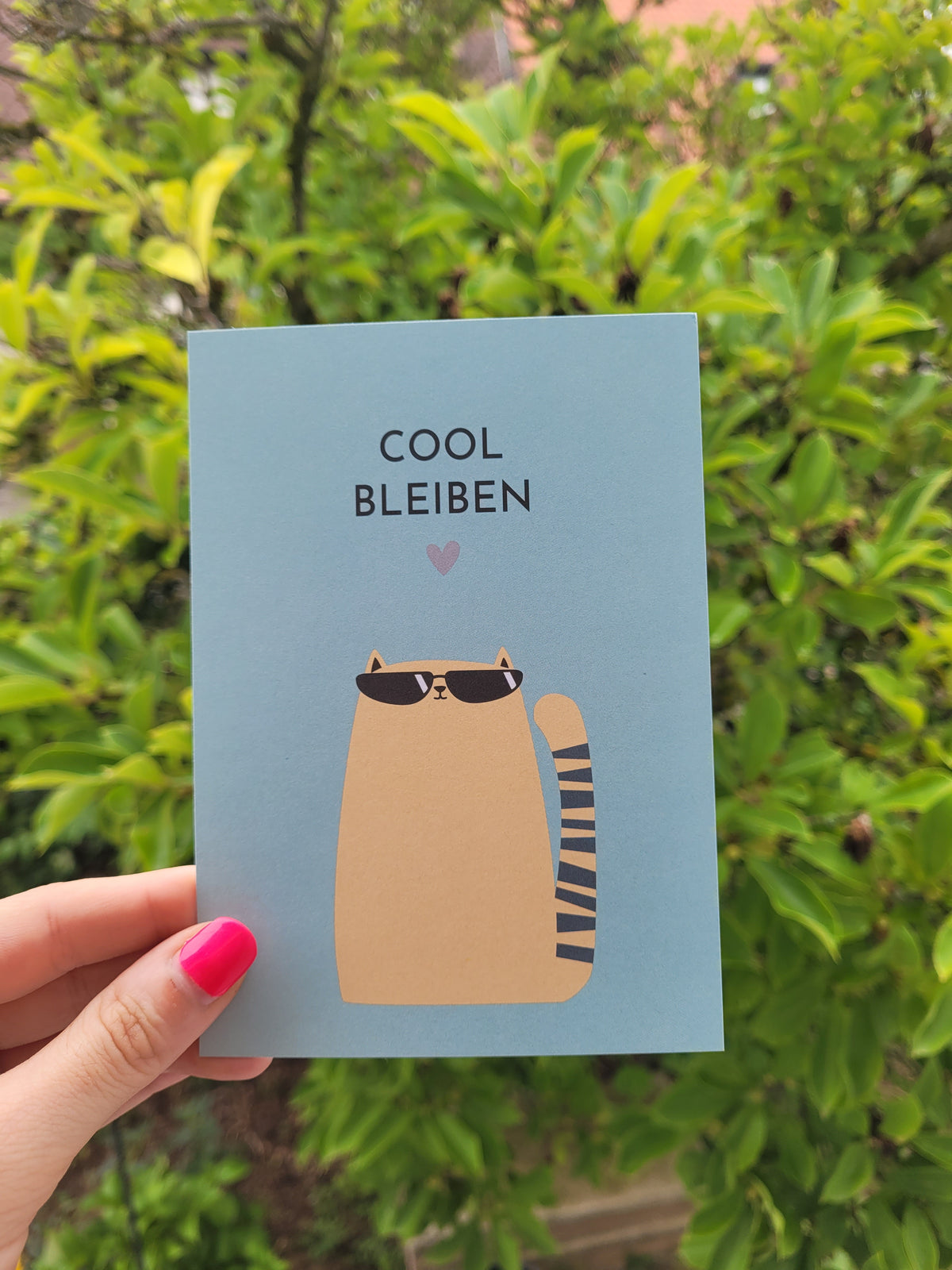 Postkarte | Cool bleiben