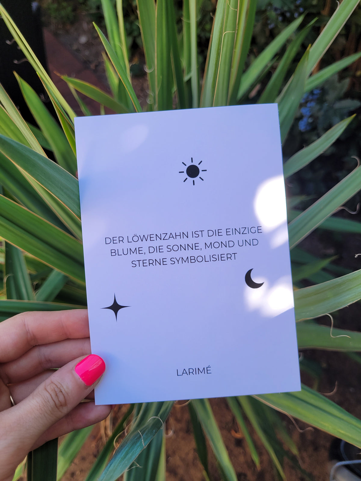 Postkarte | Sonne, Mond und Sterne